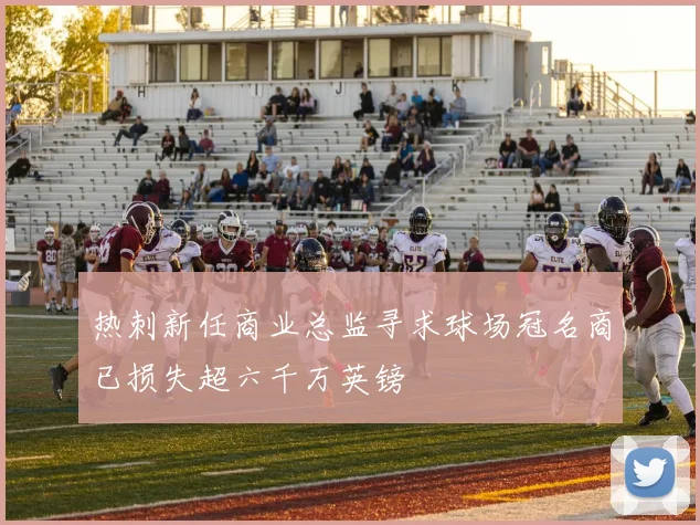 热刺新任商业总监寻求球场冠名商已损失超六千万英镑