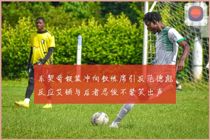 东契奇假装冲向教练席引发范德彪反应艾顿与后者忍俊不禁笑出声