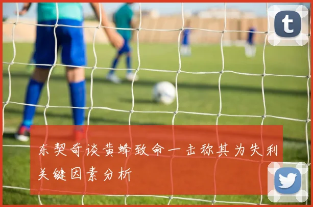 东契奇谈黄蜂致命一击称其为失利关键因素分析