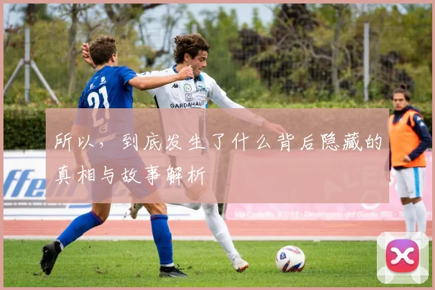 所以，到底发生了什么背后隐藏的真相与故事解析