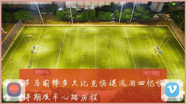 罗马前锋多夫比克伤退流泪回忆伤停期艰辛心路历程