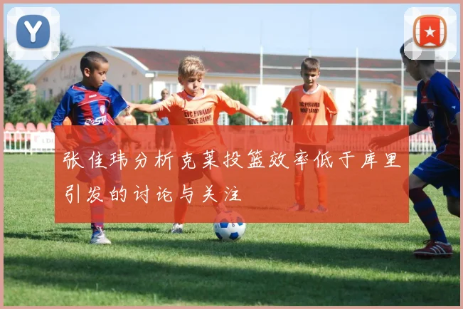 张佳玮分析克莱投篮效率低于库里引发的讨论与关注