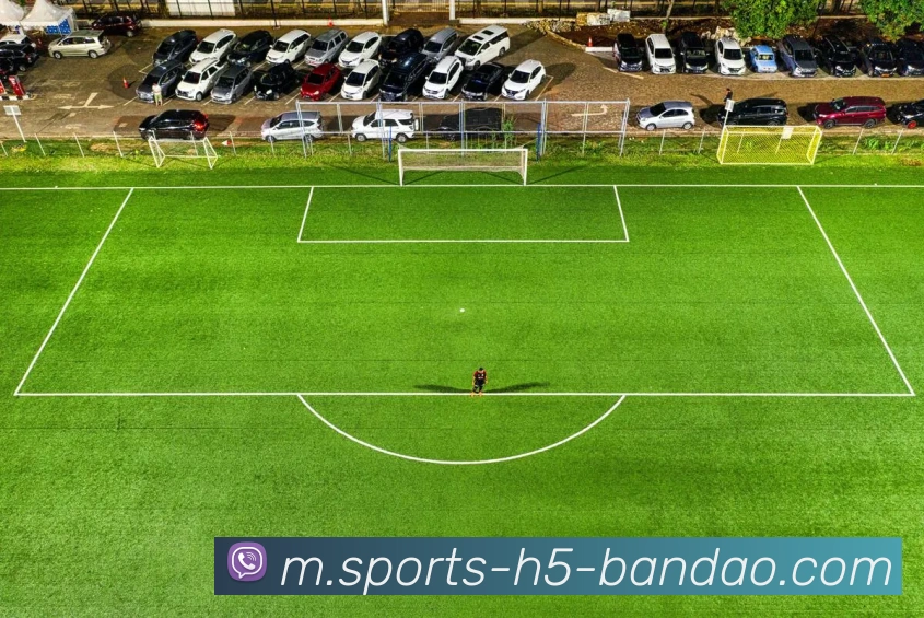 半岛体育平台生态图